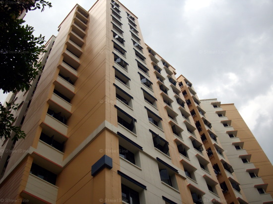 Jurong West Street 65 thumbnail photo